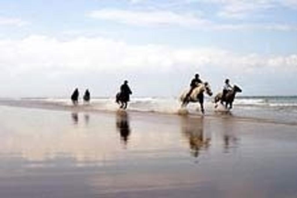 Knights Haven Bed & Breakfast Glin ภายนอก รูปภาพ