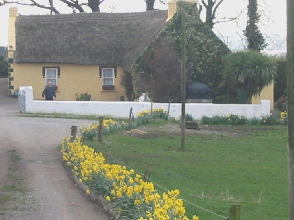 Knights Haven Bed & Breakfast Glin ภายนอก รูปภาพ